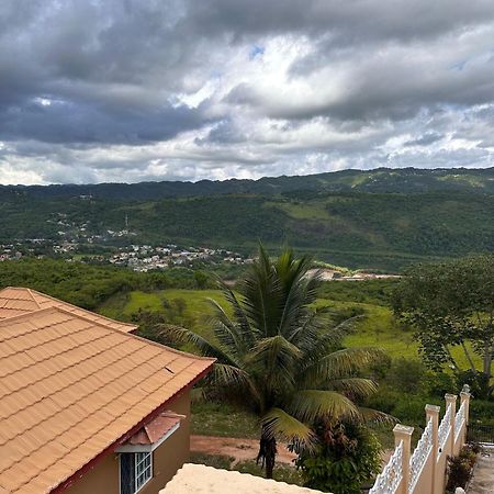 Lion'S View Bed & Breakfast Mandeville Exterior foto