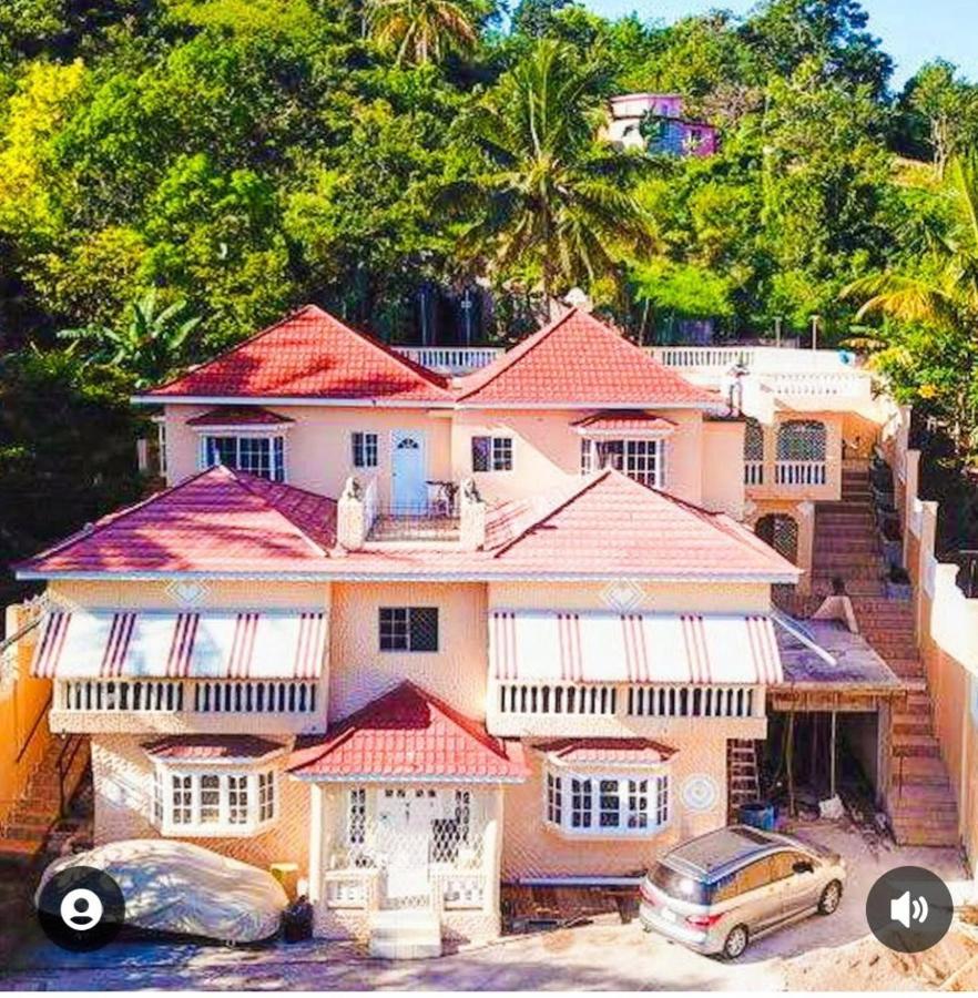 Lion'S View Bed & Breakfast Mandeville Exterior foto