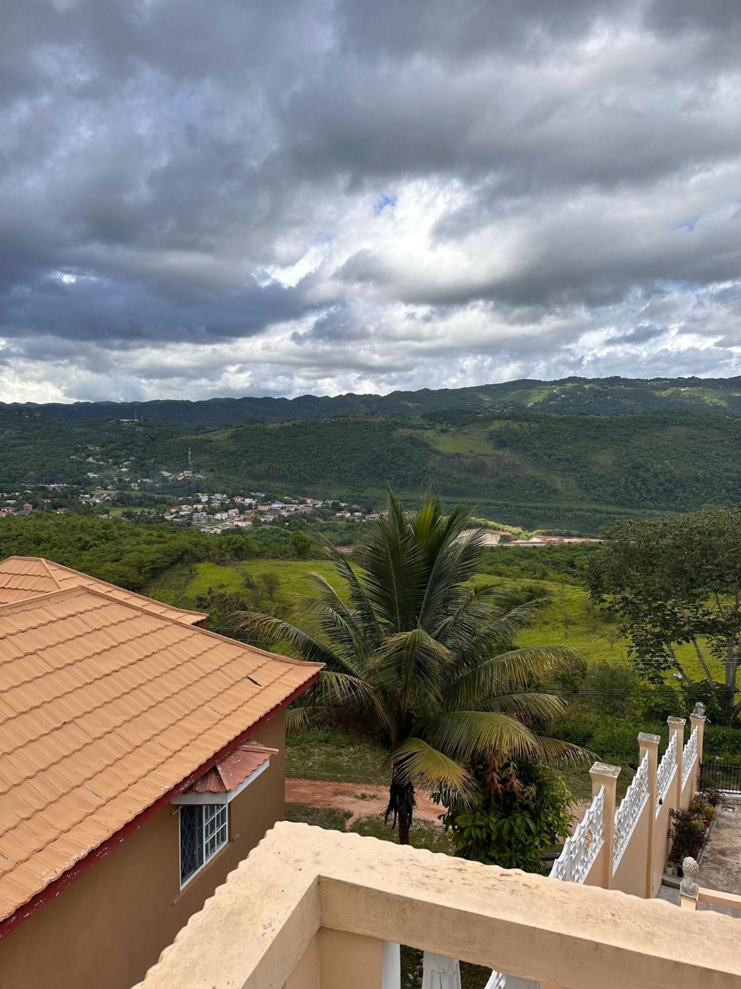 Lion'S View Bed & Breakfast Mandeville Exterior foto